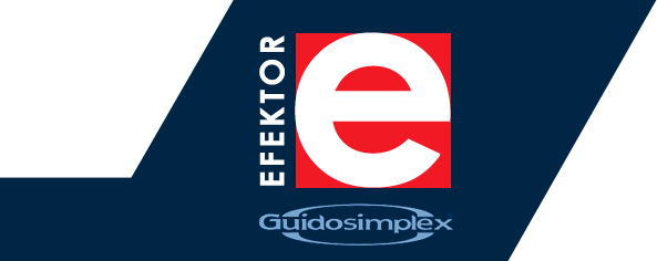 Efektor jest przedstawicielem GUIDOSIMPLEX - producenta urzadzen dla kierowców i pasazerów niepelnosprawnych 